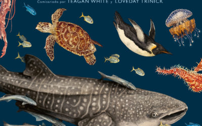 Reseña: «Oceanarium», de Teagan White y Loveday Trinick – Mujeres Con Ciencia