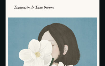 De la orografía a la metáfora – Diario Sur – «Agujero», de Hiroko Oyamada
