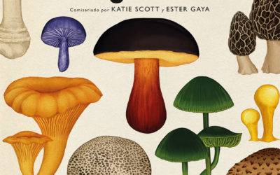 Reseña: «Fungarium», de Katie Scott – Letras en Vena